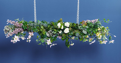 Pretty Flowers Flower Cloud by Linda Barker and Luxury Gardens U.K